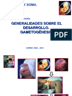 Generalidades Del Desarrollo y Gametogenesis Mandar Niuxia