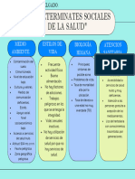 Mis Determinantes Sociales de La Salud.