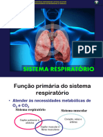 AULA RESPIRATÓRIO - Resumo