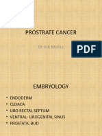 Prostrate Cancer