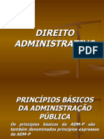 Teoria Do Direito Administrativo