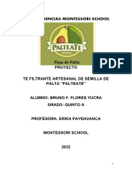 Feria de Ciencias Te Filtrante Palta Ms