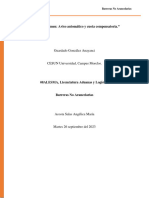 Guardado González Anayanci - Resumen Aviso Automático y Cuota Compensatoria