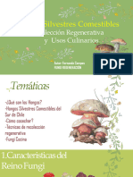 Fungi y Recetas