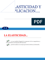 Elasticidad (Clase 4)