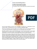 Sistema Hemolinfopoiético