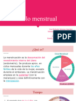 Ciclo Menstrual