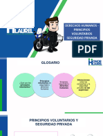 Derechos Humanos - Principios Voluntarios Seguridad Privada