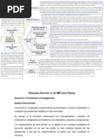 Resumen y Mapa de La Seccion 21 Niif