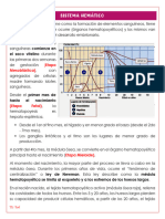 Sistema Hemático