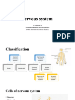 Nervous System