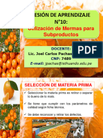 Utilización de Mermas para Subproductos