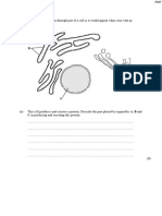 3.1 Cell Structure