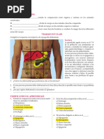 Sin Titulo 2