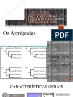 2EM - Os Artropodes