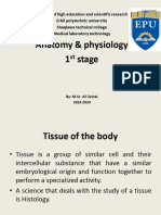 Anatomy Lec-2