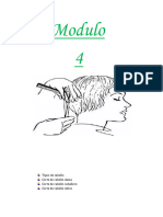 PDF Modulo 4 Pelu