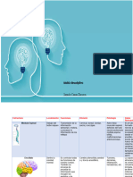 Estructura Cererbral