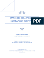 Etapas de Desarrollo