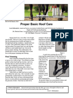 Proper Basic Hoof Care