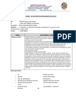 Fases Actividades Realizadas: Informe de Las Prácticas Realizadas en Ix Ciclo