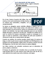 01-09 Ficha Leemos La Descripcion Del Lobo Marino - Callao