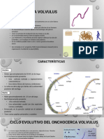 ONCOCERCOSIS 