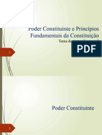 Ara0164 - 2023.2 Tema 2 - Poder Constituinte e Princ Pios Fundamentais Da Constitui o