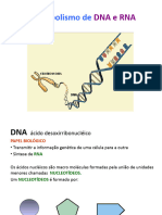 Aula 2 - Síntese de Proteínas e Aminoácidos