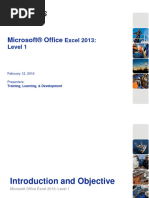 Microsoft Office Excel 2013 Level 1