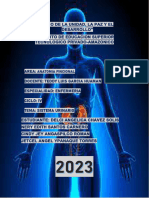 Informe-Sistema Urinario
