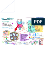 Mapa Mental Hormonas Tiroideas