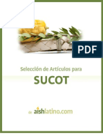 Sucot 2010