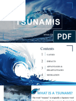 TSUNAMI