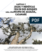 Los Musgos Y Hepáticas Que Crecen en Dos Bosques Del Municipio de Aguazul, Casanare