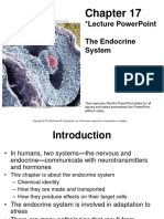 The Endocrine System