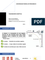 AULA 4 TRANSMISSÃO SINÁPTICA (PP Este)