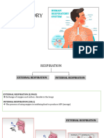 Respiratory System