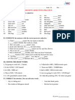 Possessives Practice