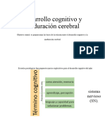 Desarrollo Cognitivo y Maduración Cerebral Neuropsicologia