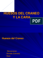 HUESOSDELCRANEO