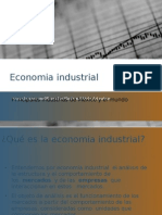 Economia Industrial