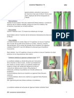 Anatomie Palpatoire N°6