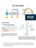 Ciclo de Krebs 2023