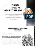 Atencion Integral Al Adulto Mayor