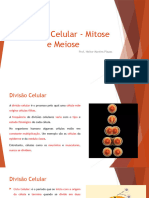 Divisão Celular - Mitose e Meiose