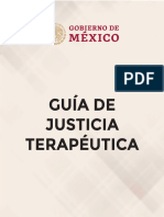 Guia de Justicia Terapeutica