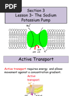 Lesson 3 The Sodium Potassium Pump