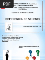 Deficiencia Selenio