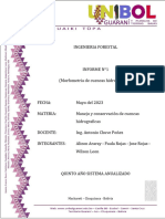 Informe Morfometria de Cuencas Hidrograficas